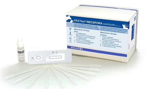 ネオスポラ・カニナム迅速検査キット - FASTest® NEOSPORA - MEGACOR Diagnostik - 感染病用 / 獣医用 / 血清