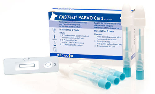 感染病用迅速検査キット - FASTest® PARVO - MEGACOR Diagnostik - 猫 / 犬 / 抗原