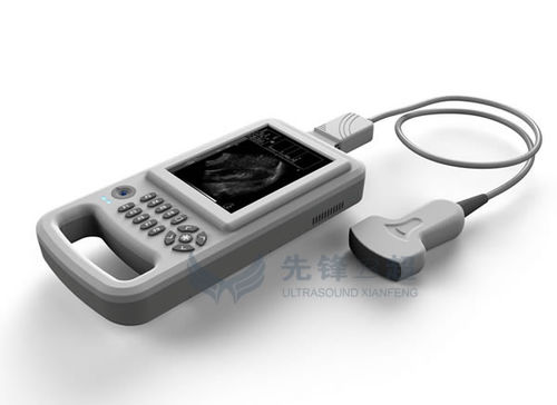 手持ち式超音波装置 - XF20 - Xianfeng Ultrasound Medical - 多目的超音波画像診断用 / 白黒