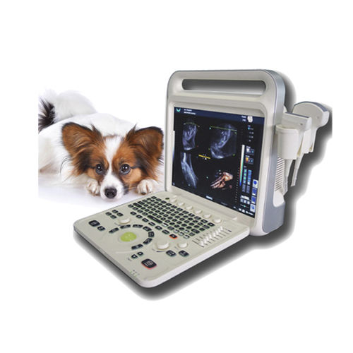携帯型動物用超音波検査 - XF3600V - Xianfeng Ultrasound Medical - 多目的 / 犬用 / 犬