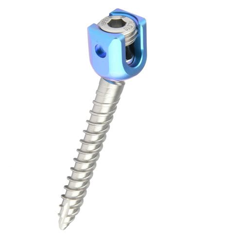 胸腰部脊椎用椎弓根スクリュー - REED Polyaxial Screw - H.P.I. Medical - 複軸 / 金属製