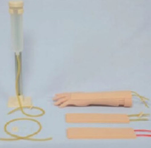 腕の解剖模型 - 3D Lifeprints UK Ltd - 注射 / 医療訓練用 / 子供
