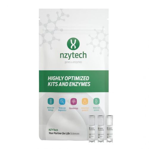 溶液試薬キット - CZ10971 - NZYTech - 酵素 / 科学研究用 / プロテイン