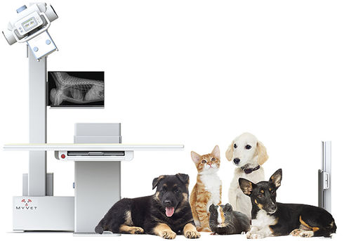 デジタル動物用レントゲンシステム - i72W - MYVET