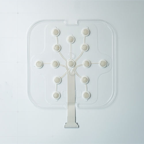 EEG電極 - NE - Wuhan Greentek - 医療用 / 使い捨て