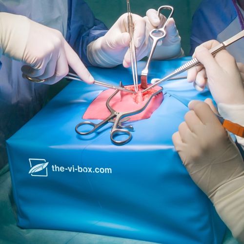 血管手術用シミュレーター - VI Box  - LifeLike BioTissue Inc. - 医療訓練用 / 解剖 / ワークステーション