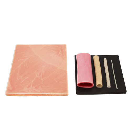 腸の解剖模型 - 1003 - LifeLike BioTissue Inc. - 大腿動脈の / 伏在静脈の / 皮膚用