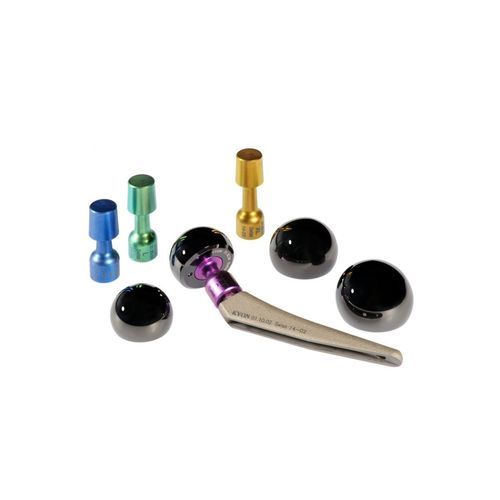 セメントレス動物用人工腰 - Cupless PHR - KYON - 人工股関節全置換術