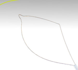 腸ポリープ抽出用内視鏡バスケット - ezSnare™ Crescent - Endo-Therapeutics - ストレート