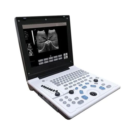 携帯型超音波装置 - 5520  - Hunan Fude Technology - 多目的超音波画像診断用 / 白黒 / 内蔵コンソール