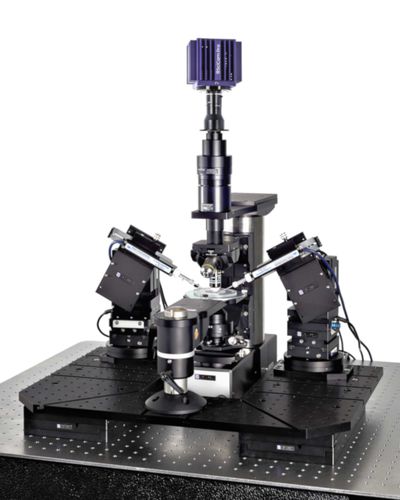 研究用パッチクランプシステム - SliceScope Pro 6000 - Scientifica
