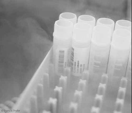 トレーサビリティソフト - TDBioBank - TECHNIDATA - 管理用 / モニター用 / 相互運用性
