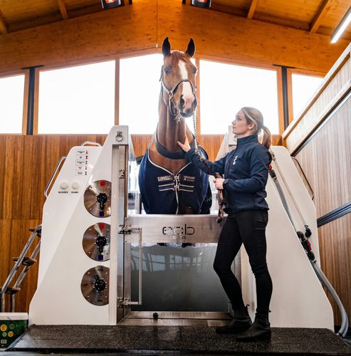 ウマ科動物用スパ - ECB Equine Spa