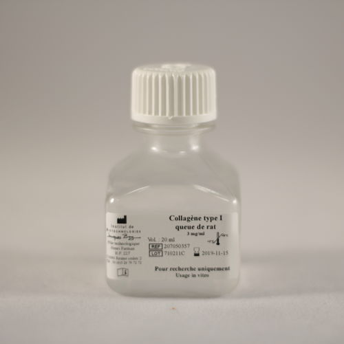 コラーゲン試薬 - TYPE I QUEUE DE RAT - Institut de Biotechnologies Jacques Boy - 研究用 / 細胞培養用 / 細胞接着用