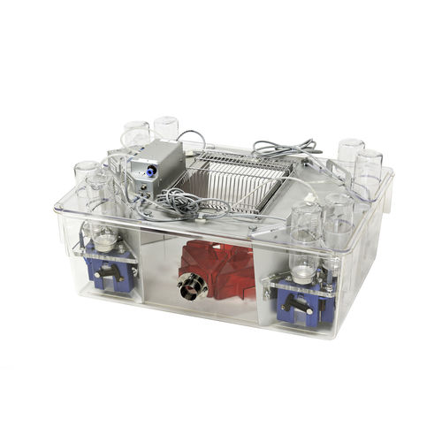 マウス用動物研究用かご - IntelliCage - TSE Systems - モジュール式