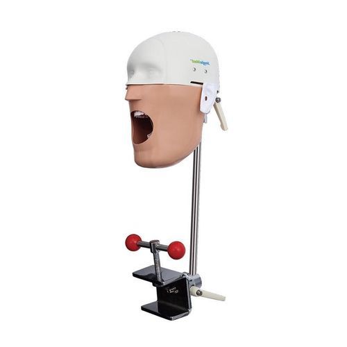 歯科衛生用訓練用マネキン - JG-C5 - FOSHAN JINGLE MEDICAL EQUIPMENT CO., LTD - 獣医用 / 実習用 / 成人