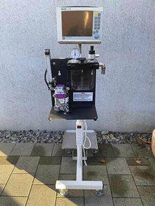 小動物用動物用麻酔ワークステーション - Rothacher Medical - 大型動物用 / 台車上