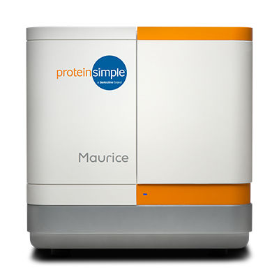 毛細管電気泳動システム - Maurice - ProteinSimple - 等電点電気泳動 / ドデシル硫酸ナトリウム / プロテイン用