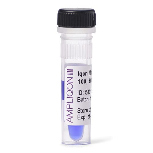 DNAラダー試薬 - Iqon - Ampliqon A/S - PCR / 電気泳動 / 核酸