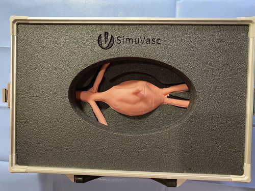 腹部大動脈瘤シミュレーター - AAA - SimuVasc - 医療訓練用 / 一般的な治療用
