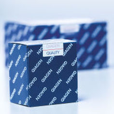 CMV検査キット - artus - QIAGEN - 研究用 / DNA抽出用 / トロンボモジュリン
