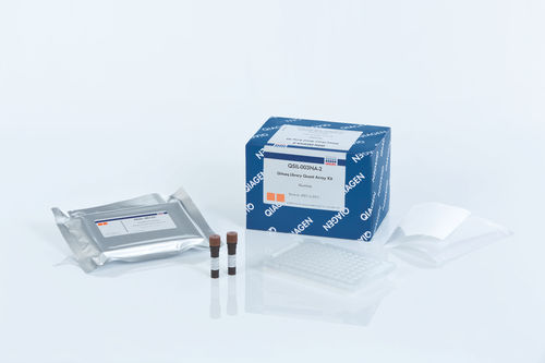 法医学的応用検査キット - GeneRead  - QIAGEN - リアルタイムPCR用 / NGSシーケンシング / シークエンシング用