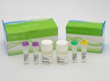 溶液試薬キット - KAPA HyperPrep  - Roche Sequencing Solutions - DNAポリメラーゼ / 研究用 / NGS