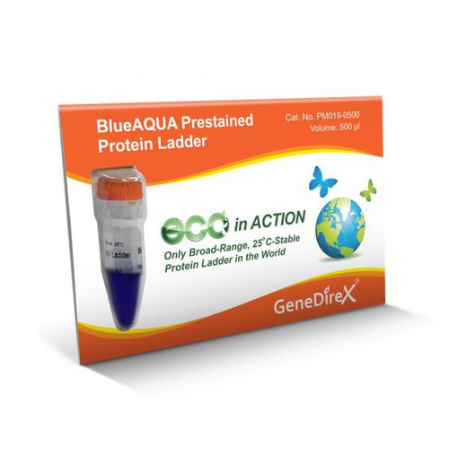 タンパク質ラダー試薬 - BlueAQUA - GeneDireX, Inc. - ウェスタンブロット法用