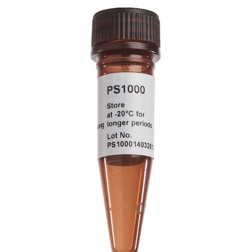 染色液試薬 - FluoroStain™ - SMOBIO Technology, Inc. - 染料 / 微生物学用 / プロテイン