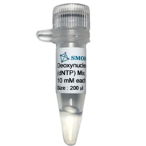 DNTP溶液試薬 - CD101 series - SMOBIO Technology, Inc. - PCR / RT-PCR / DNA シークエンシング用