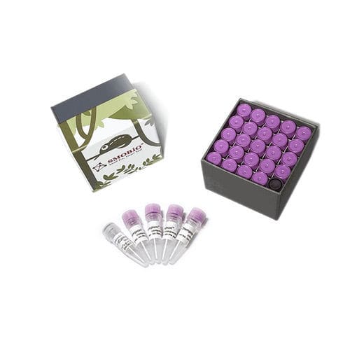 緩衝液試薬 - CC5204 - SMOBIO Technology, Inc. - 生物分子学用 / 大腸菌