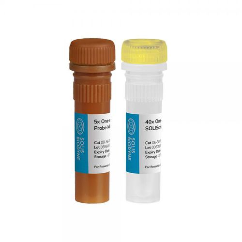 溶液試薬キット - SOLIScript® 1-step Probe  - Solis BioDyne - 酵素 / 研究用 / 診断用