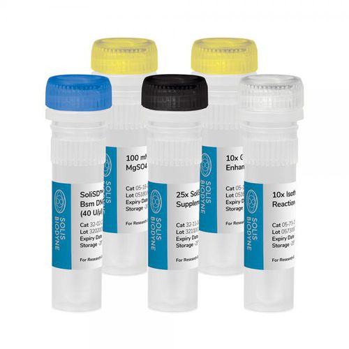 DNAポリメラーゼ試薬キット - SoliSD™ Lyo-compatible Bsm DNA Polymerase Kit - Solis BioDyne - 等温増幅用