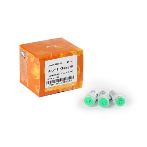 アンピシリン試薬キット - pEASY® -T1 - TransGen Biotech Co. - DNA シークエンシング用 / 微生物学用