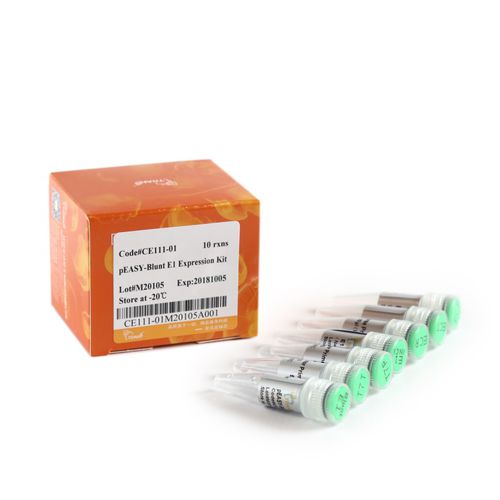 アンピシリン試薬キット - pEASY®-Blunt E1 - TransGen Biotech Co. - DNA シークエンシング用 / 微生物学用 / プロテイン