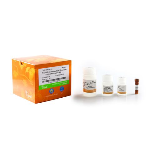 プロテアーゼ試薬キット - ProteinExt® - TransGen Biotech Co. - ウェスタンブロット法用 / ELISAテスト / プロテイン