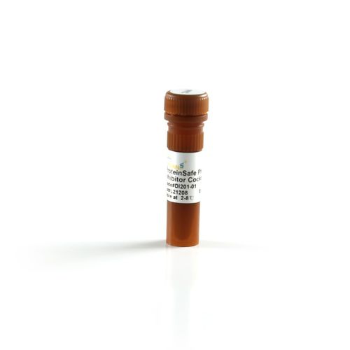 リン酸塩緩衝液試薬 - ProteinExt™ - TransGen Biotech Co. - ウェスタンブロット法用 / プロテイン / ナトリウム