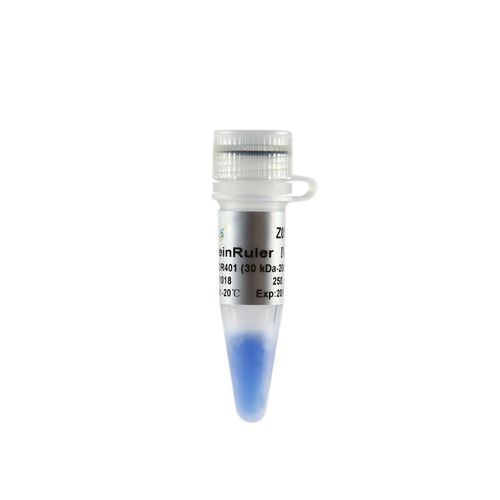 溶液試薬 - ProteinRuler® IV - TransGen Biotech Co. - 電気泳動 / プロテイン