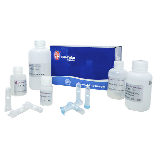 溶液試薬キット - PR4001, PR4002 - Bioteke Corporation - DNAポリメラーゼ / TaqDNAポリメラーゼ / 研究用