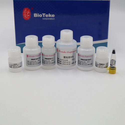 TaqDNAポリメラーゼ試薬キット - AU17012 - Bioteke Corporation - PCR / 核酸