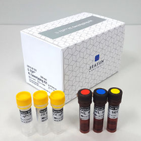 遺伝子型決定用試薬キット - U-TOP™ HL - SEASUN BIOMATERIALS INC. - リアルタイムPCR用 / 遺伝子用