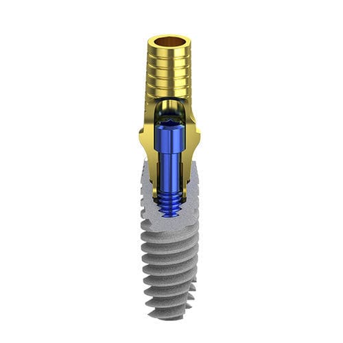 円筒形歯科インプラント - B1 - Biotec Dental Implant Development GmbH - チタン製 / 内側 / 円錐形