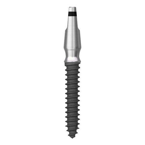 円筒形歯科インプラント - MS - Osstem Implant France - チタン製 / モノブロック / ステージ1