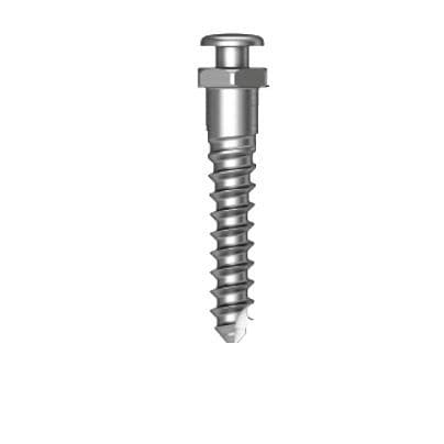 チタン製小型インプラント - Osstem Implant France - ストレートタイプ / スクリュー / 歯科矯正用アンカー