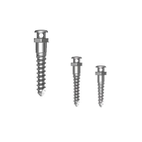 チタン製小型インプラント - Through Hole - Osstem Implant France - ストレートタイプ / スクリュー / 歯科矯正用アンカー