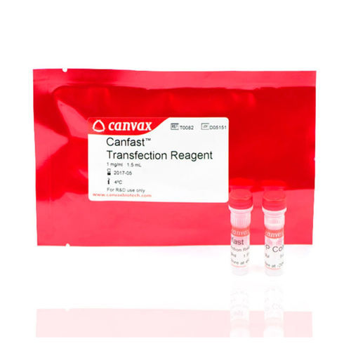 溶液試薬キット - CANFAST™ - Canvax - 研究用 / DNAトランスフェクション / 医薬品開発