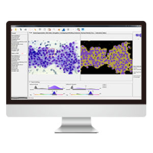 細胞構造画像ソフト - AmCAD-CA  - AmCad BioMed - 分析 / 診断用 / データ収集