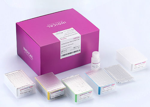動物実験用試薬キット - IndiMag Pathogen KF96 Cartridge - INDICAL BIOSCIENCE GmbH - 磁気ボール式 / 核酸 / DNA抽出