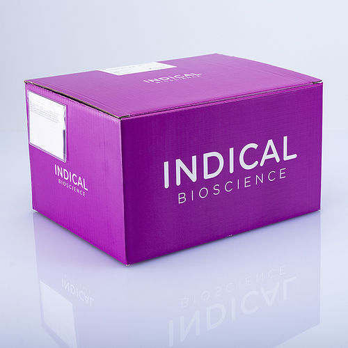 獣医用検査キット - IndiMag Mastitis Kit - INDICAL BIOSCIENCE GmbH - 乳腺炎 / DNA抽出用 / DNA精製用