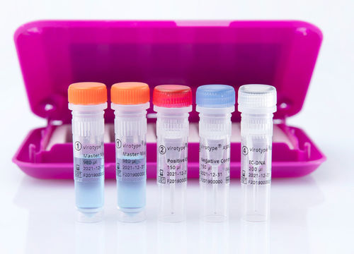 獣医用検査キット - virotype ASFV 2.0 PCR Kit - INDICAL BIOSCIENCE GmbH - 感染病用 / 豚 / DNA用
